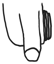 Diagram for SEDIA&#x27;s hand placement, hand-drawn by Nathaniel D